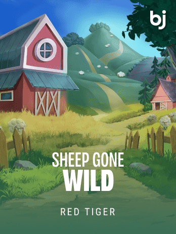 Sheep Gone Wild